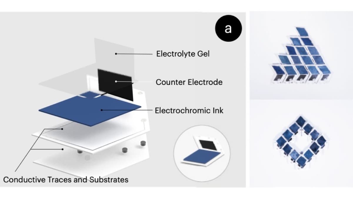 ECSkin: Tessellating Electrochromic Films for Reconfigurable On-skin Displays
